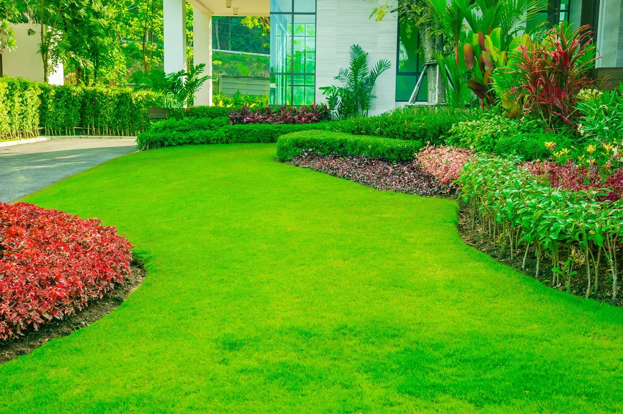 A beautiful landscape requires consistent effort and expert care